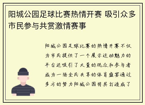 阳城公园足球比赛热情开赛 吸引众多市民参与共赏激情赛事