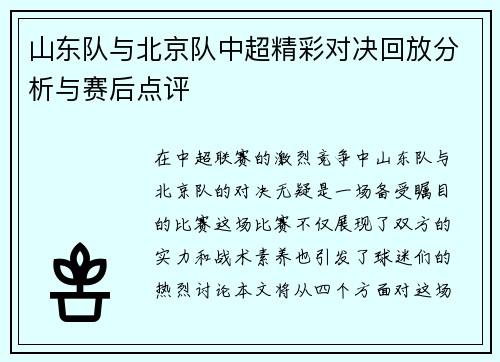 山东队与北京队中超精彩对决回放分析与赛后点评