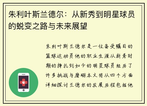 朱利叶斯兰德尔：从新秀到明星球员的蜕变之路与未来展望
