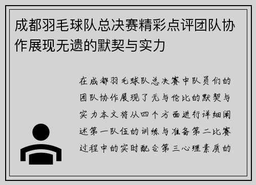 成都羽毛球队总决赛精彩点评团队协作展现无遗的默契与实力