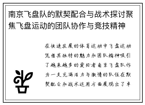 南京飞盘队的默契配合与战术探讨聚焦飞盘运动的团队协作与竞技精神
